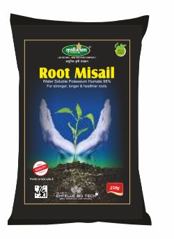 Root Misail